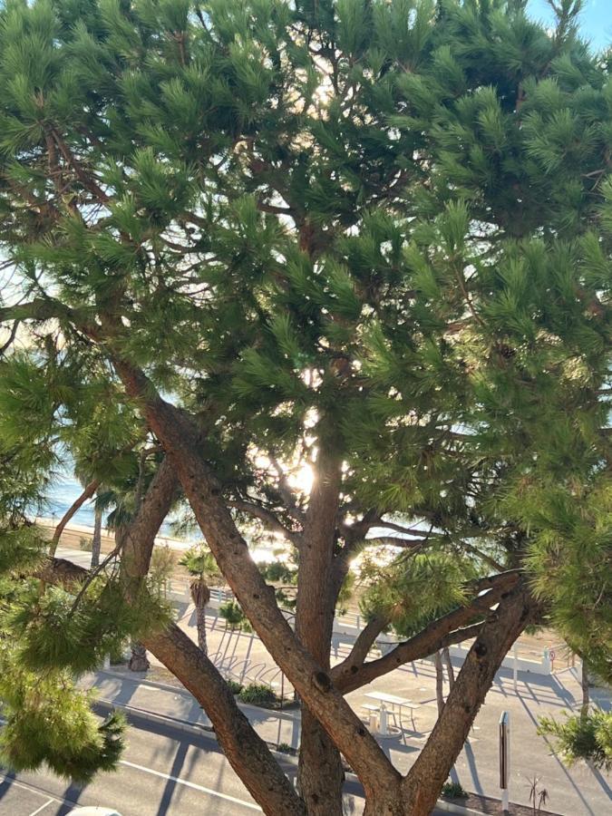 Vacances Paradisiaques, Plage Cannes Boccacabana, Studio Luaran gambar