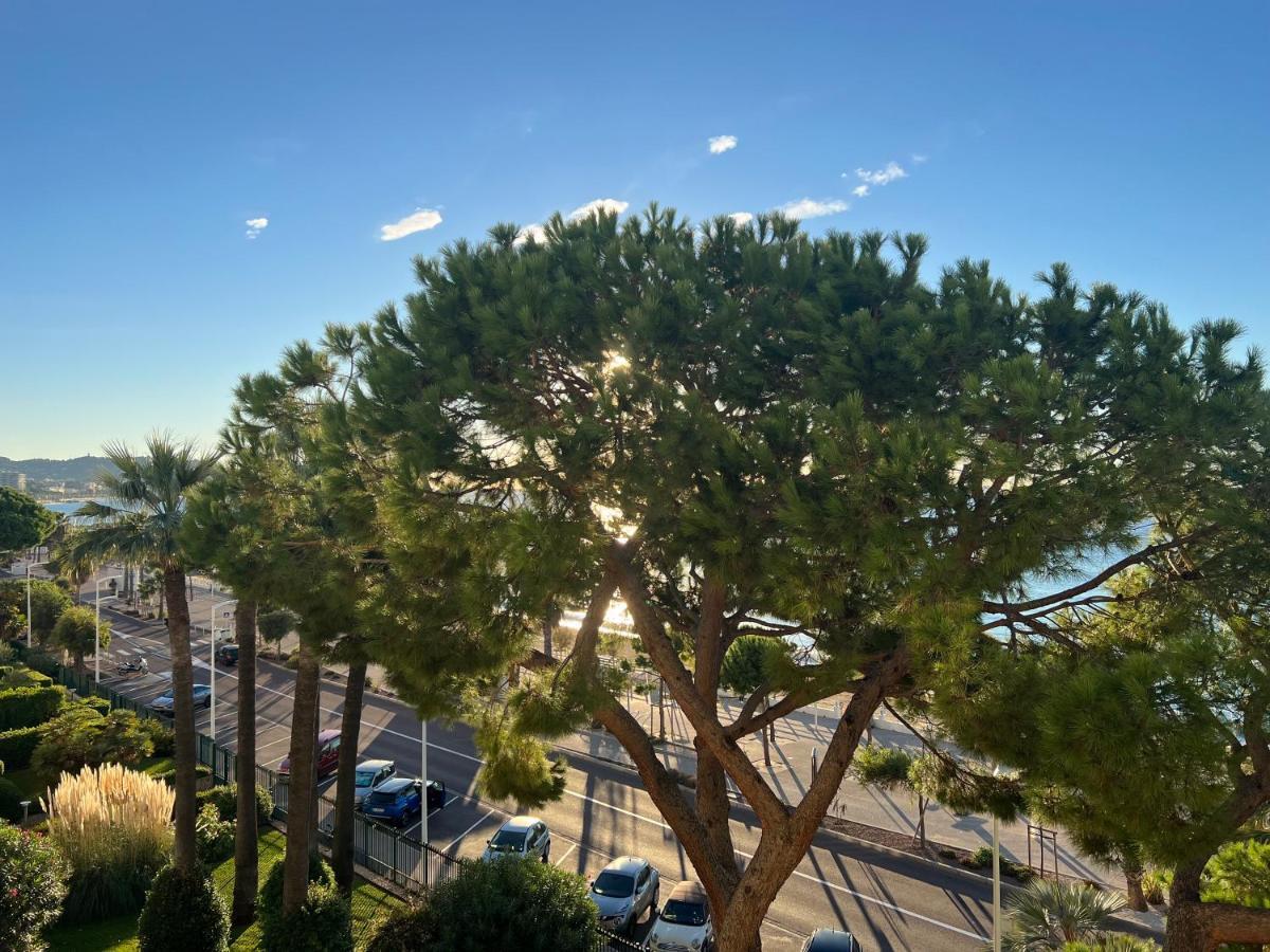 Vacances Paradisiaques, Plage Cannes Boccacabana, Studio Luaran gambar